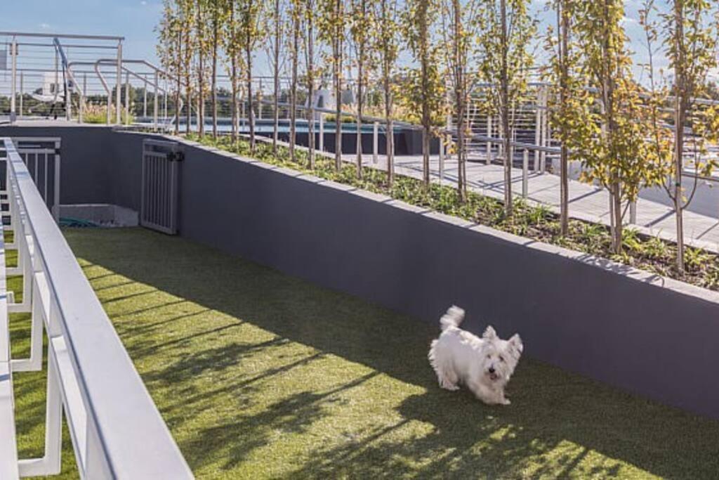 Modern, Chic, Great Location Apartamento Washington Exterior foto